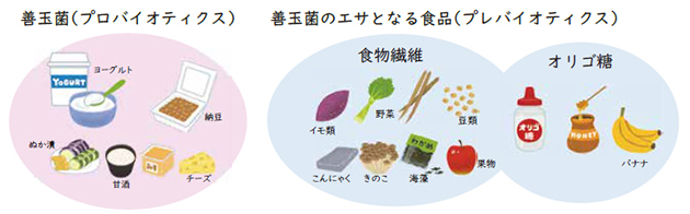 左：善玉菌（プロバイオティクス）／右：善玉菌のエサとなる食品（プレバイオティクス）
