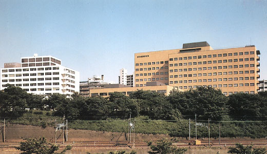View of the Hospital