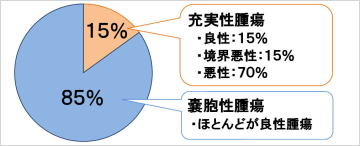 図2　成熟期の女性の卵巣腫瘍