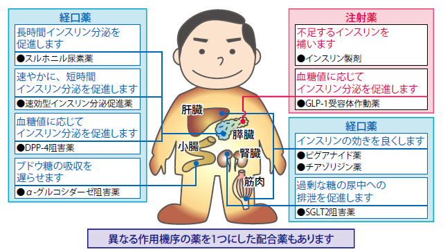 図1　糖尿病の薬物療法