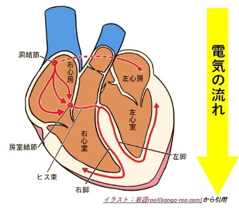 刺激伝導系