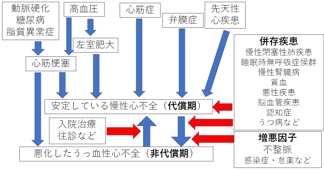 心不全の全体像