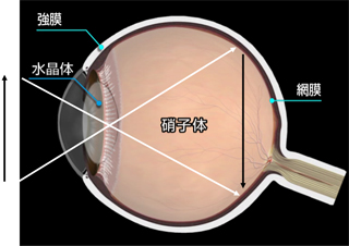 図2