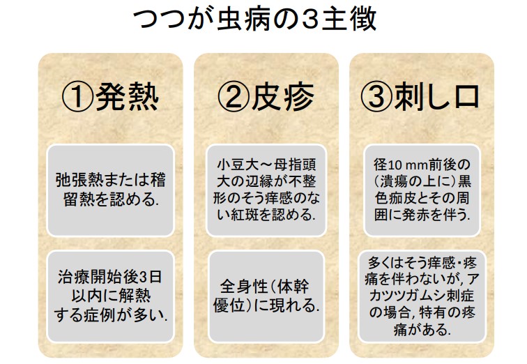 文献3)つつが虫病の3主徴