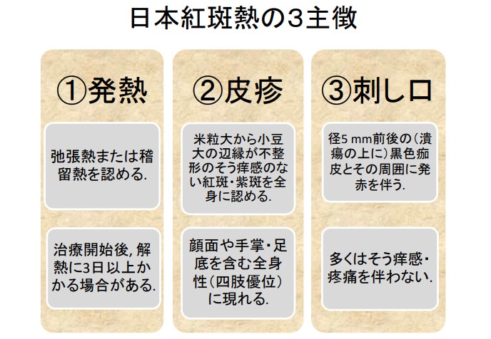 文献3)日本紅斑熱の3主徴