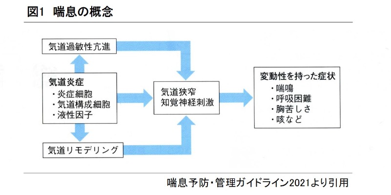 図１　気管支喘息 発病・増悪のメカニズム