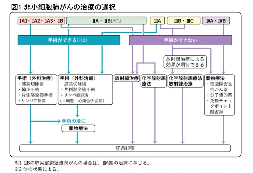 図1 非小細胞肺がんの治療の選択