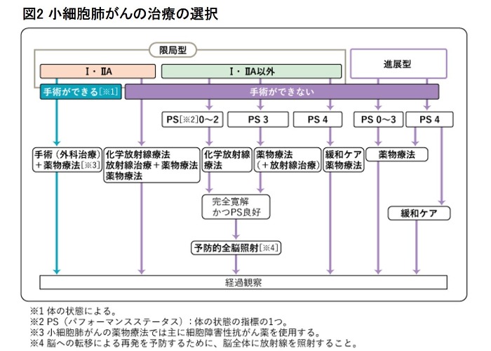 図2 小細胞肺がんの治療の選択