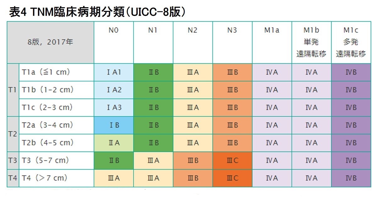 表4 TNM臨床病期分類(UICC-8版,2017年)