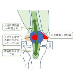 図2-4-5